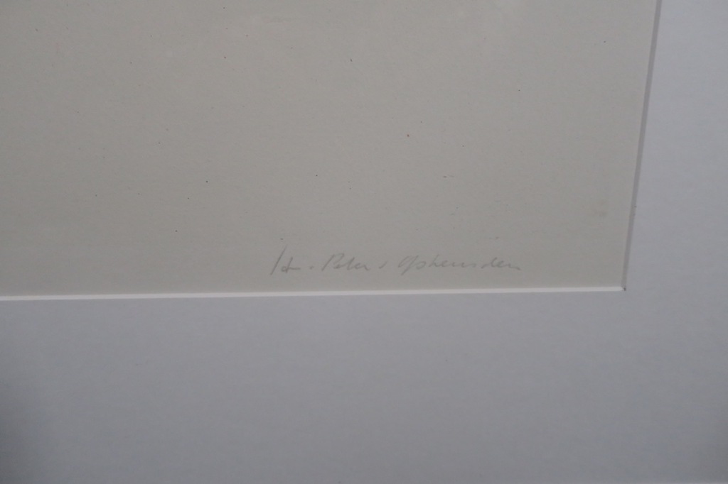 Jan Peter van Opheusden: Litho, Vigdis Gunar's daughter - Ingelijst kopen? Bied vanaf 60!