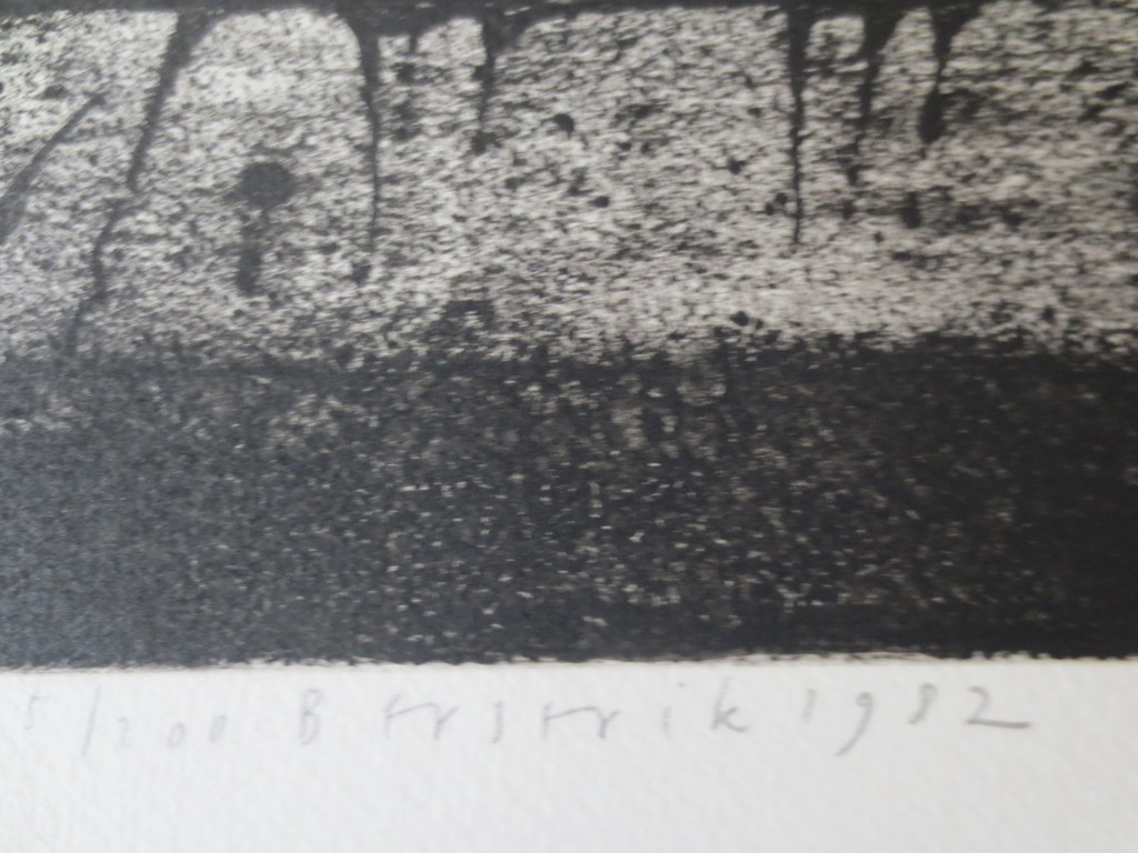 BERSERIK HERMAN -  sepia ets - z.t.  kopen? Bied vanaf 80!