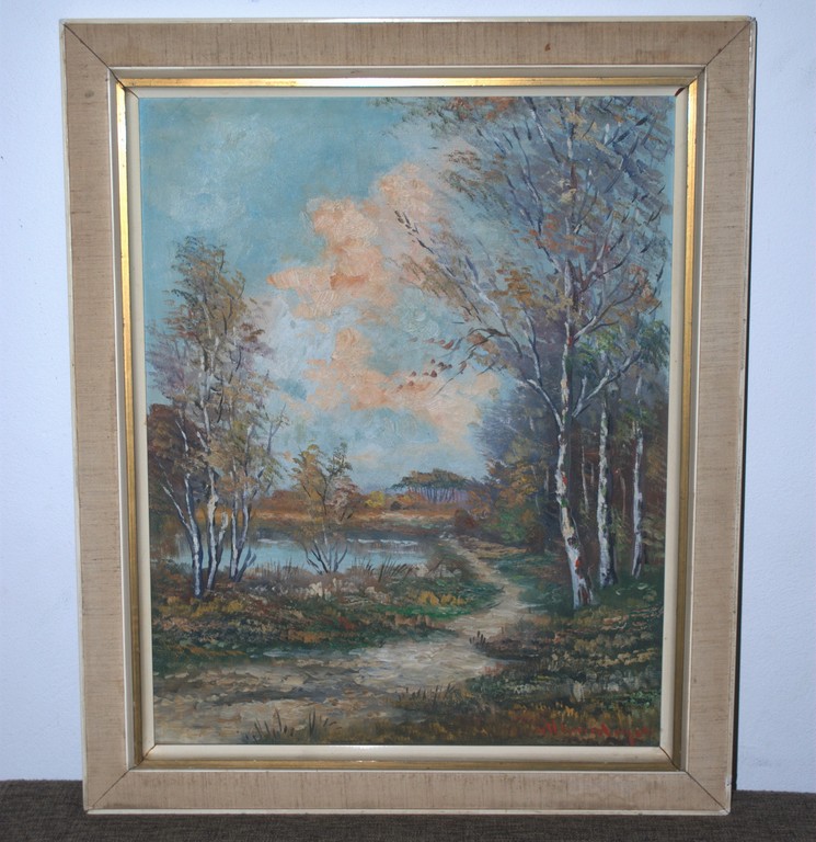 't Gooi - ingelijst olieverf op doek, incl boek kopen? Bied vanaf 1!