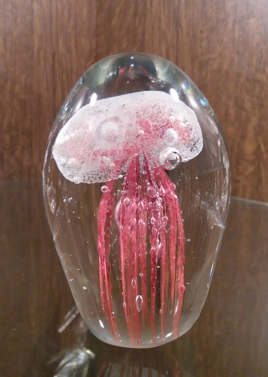 Presse-papier Jellyfish kopen? Bied vanaf 1!