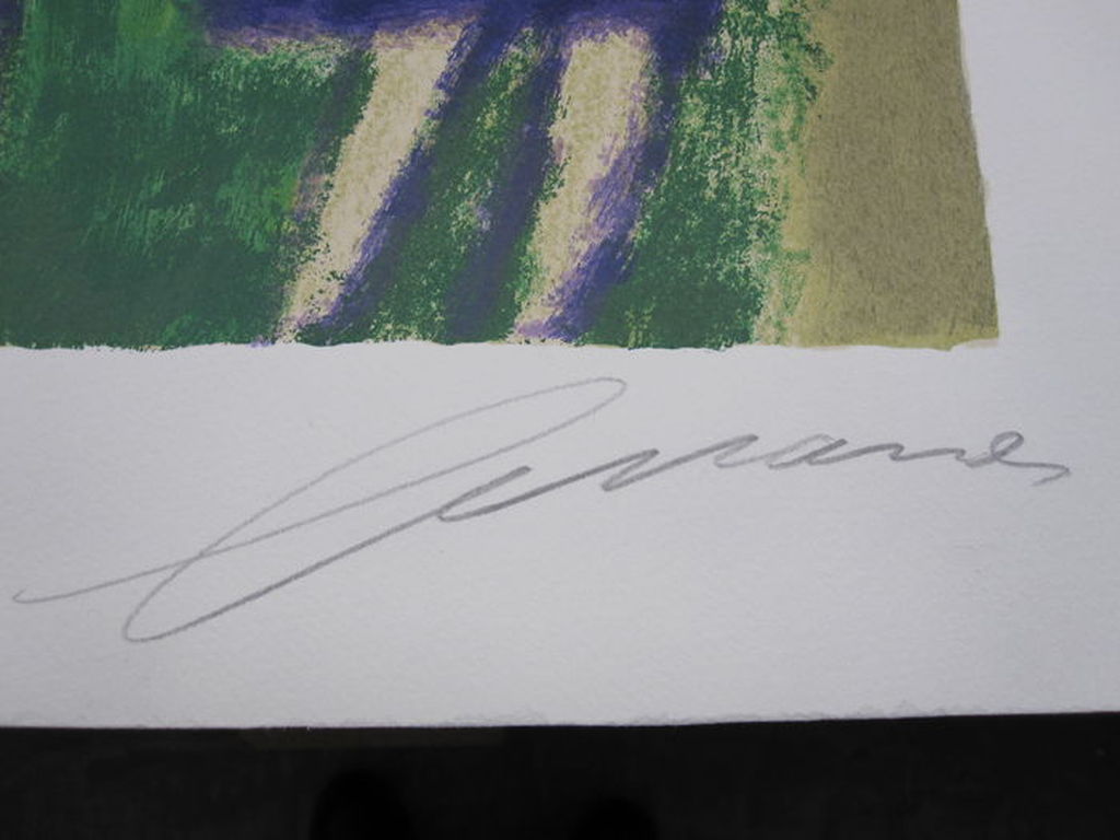 Eugene Brands 'De eenhoorn' - gesigneerde zeefdruk - oplage 150 ex. - 1997 kopen? Bied vanaf 325!