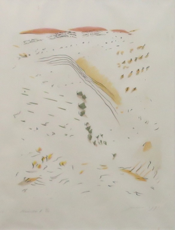 Jan Hein van Rooy: Litho 2 luik : Paisajo reencontrado - Ingelijst kopen? Bied vanaf 35!