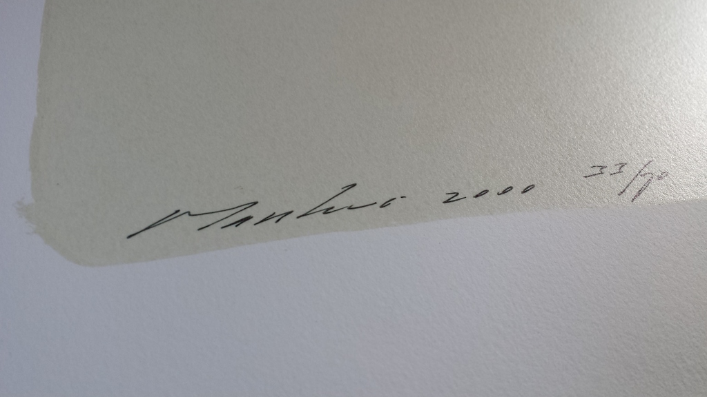 Paul Blanca: zeefdruk, Roos 1 kopen? Bied vanaf 99!