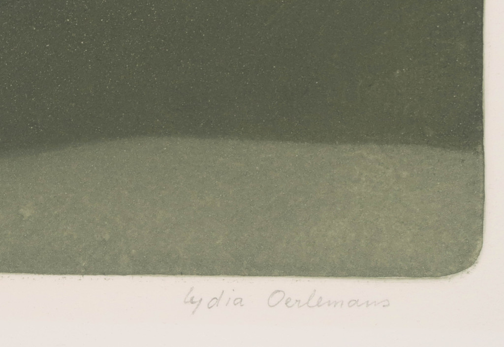 Lydia Oerlemans: Ets en aquatint, Zonder titel kopen? Bied vanaf 40!
