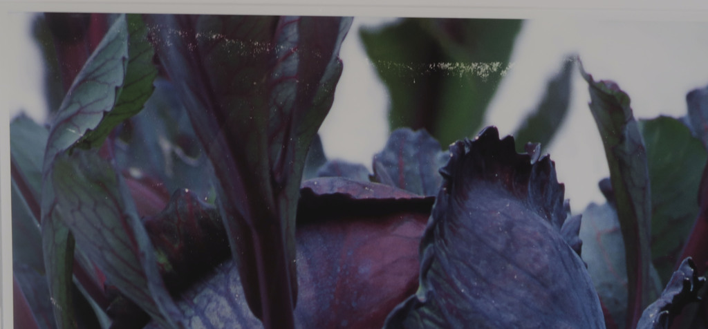 Robert Wevers: Inkjetprint, De kool, het mes en de hand - Ingelijst (Groot) kopen? Bied vanaf 1!