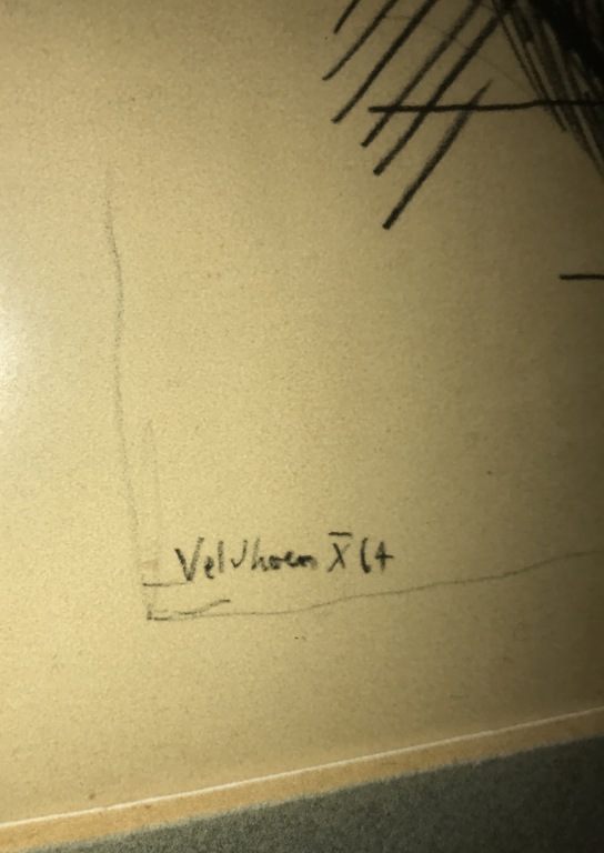 Aat Veldhoen litho  kopen? Bied vanaf 1!