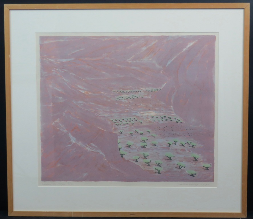 Jan van Rooy: Litho, Campo di Nijar -Ingelijst kopen? Bied vanaf 1!