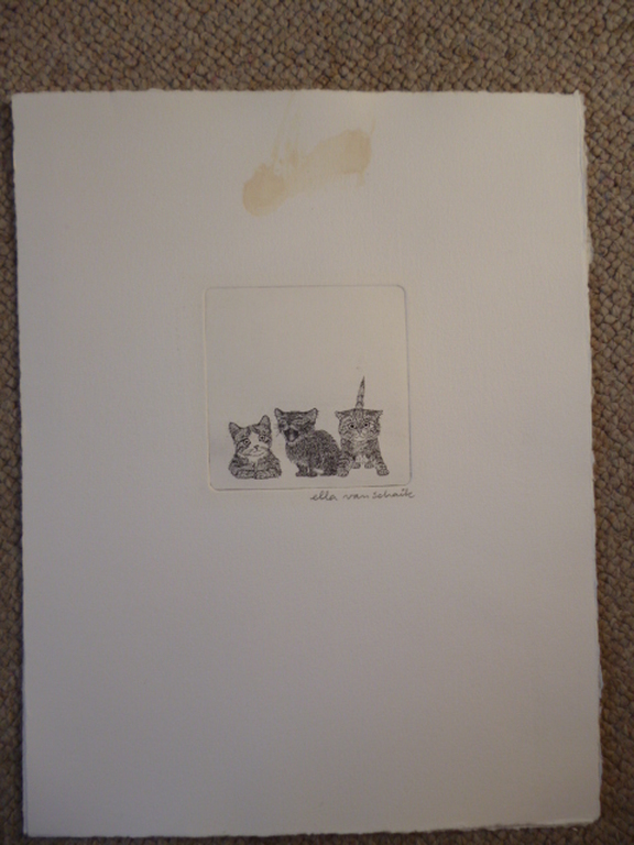 Ella van Schaik - ets - Drie kittens kopen? Bied vanaf 15!