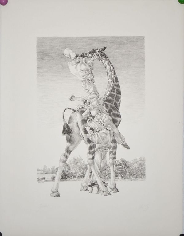 Peter Vos: Litho. Gevoelens kopen? Bied vanaf 80!
