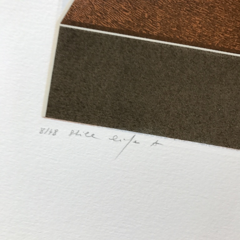 2 x Martin R Baeyens ( Wout v/d Vet )  zeefdrukken Titel: Still life 1 en 2 kopen? Bied vanaf 1!