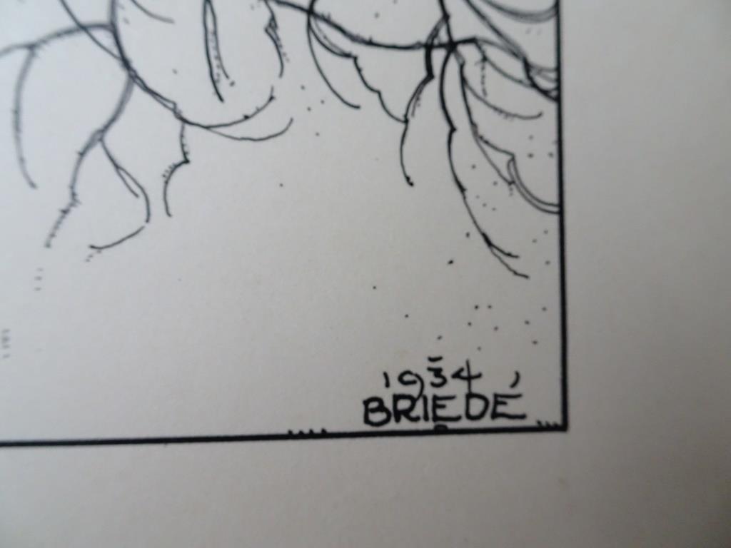 Johan Briedé Twee werken  op papier. Bosgezicht- Knotwilg  kopen? Bied vanaf 1!