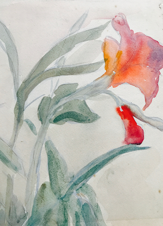 Emile Joseph Patoux (1893 - 1985) - Bloemenstilleven kopen? Bied vanaf 1!