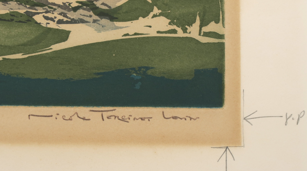 Nicole Tercinet Levin: Aquatint, Les Continents Barbanes kopen? Bied vanaf 1!
