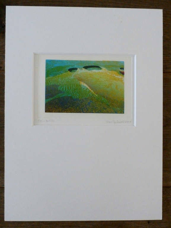 Nono Reinhold - ets/aquatint - 2000 - met opdracht kopen? Bied vanaf 50!