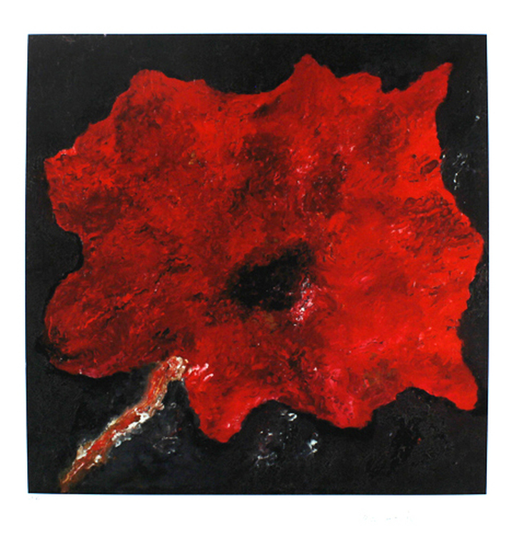 Armando-Die Blume Rot 2017- giclée op handgeschept katoenpapier-oplage 30 verkocht voor € 159!