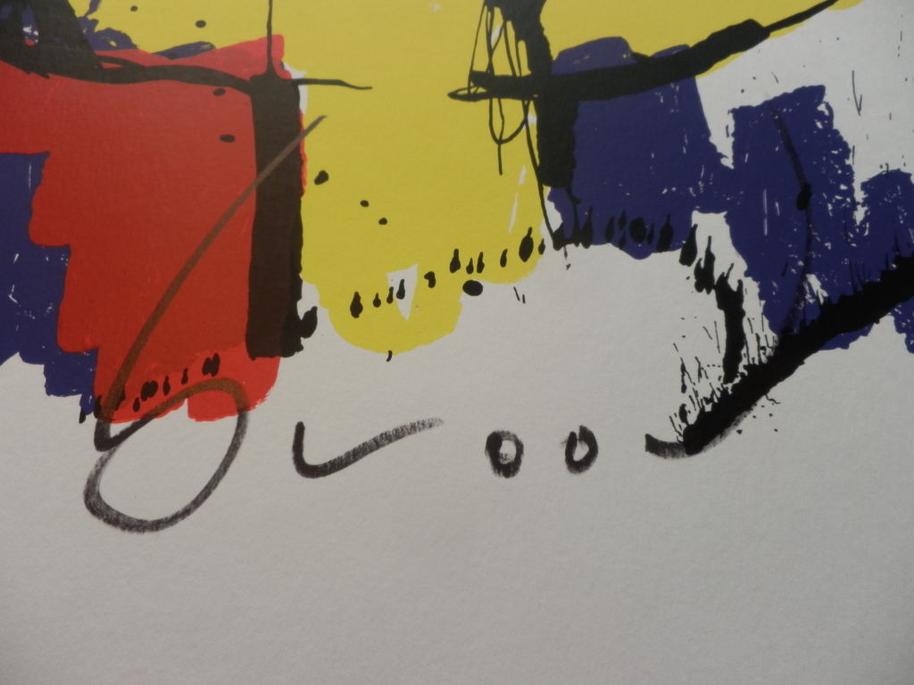 HERMAN BROOD  Gelimiteerde en Handgesigneerde Zeefdruk BRASIL GOD kopen? Bied vanaf 85!