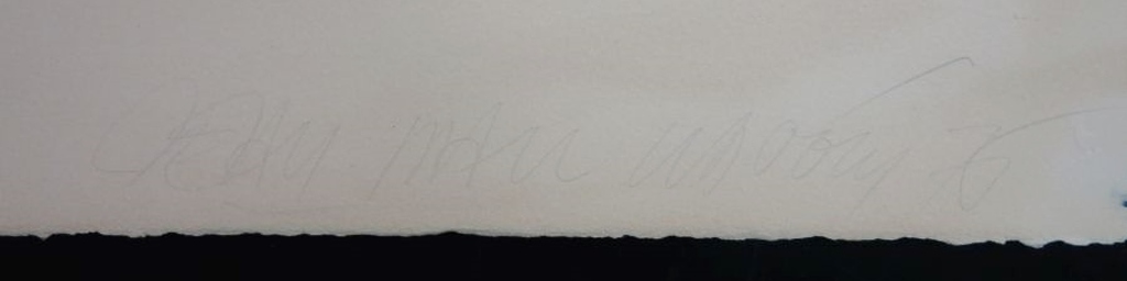 Jean-Paul Vroom: Litho, Balletdanser kopen? Bied vanaf 1!