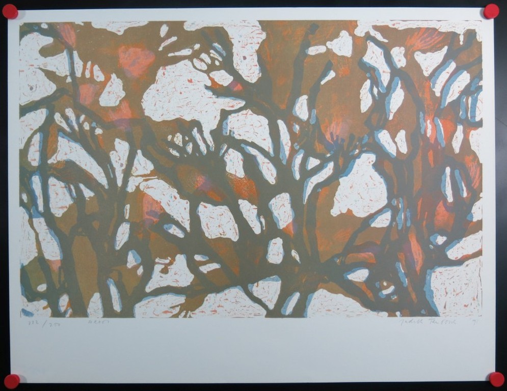 Judith ten Bosch: Litho, Groet kopen? Bied vanaf 1!