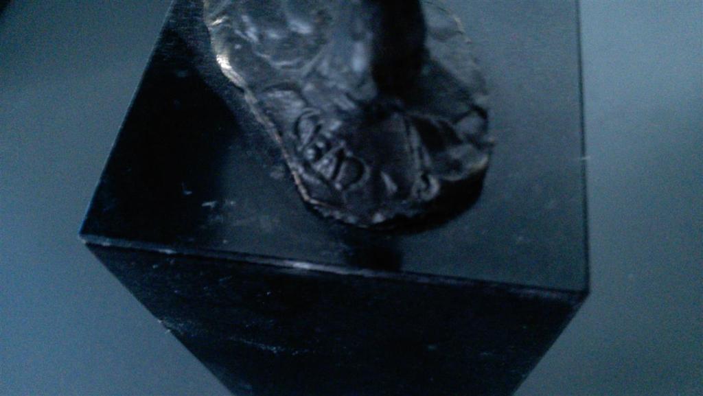 Corry Ammerlaan van Niekerk verbronsde sculptuur kopen? Bied vanaf 45!