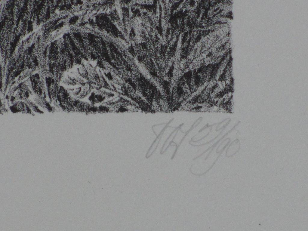 Peter Vos, Verte, Litho kopen? Bied vanaf 100!