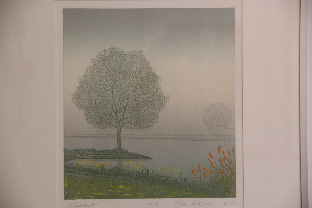 kleurenets ,van Hans Heijman kopen? Bied vanaf 69!