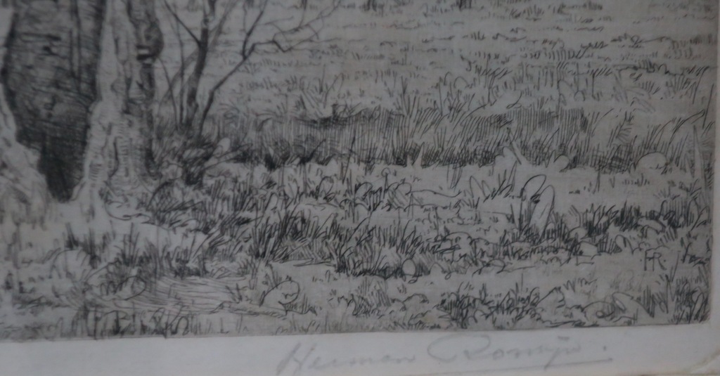 Herman Romijn: Ets, De wilgen - Ingelijst kopen? Bied vanaf 1!