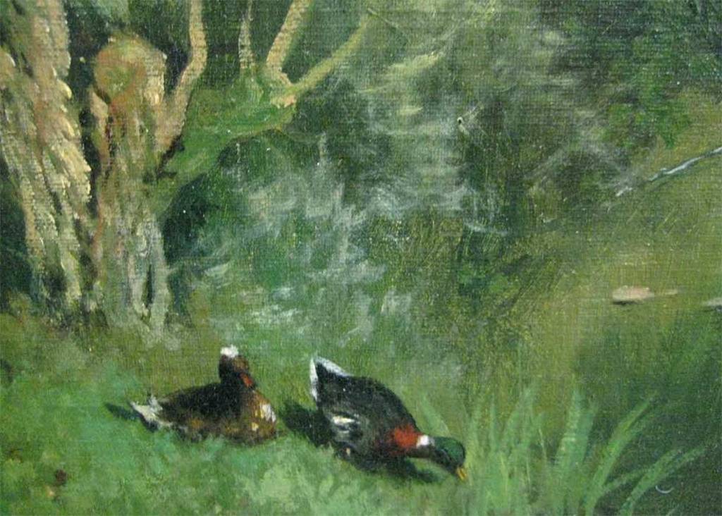 Eenden bij de waterkering kopen? Bied vanaf 320!