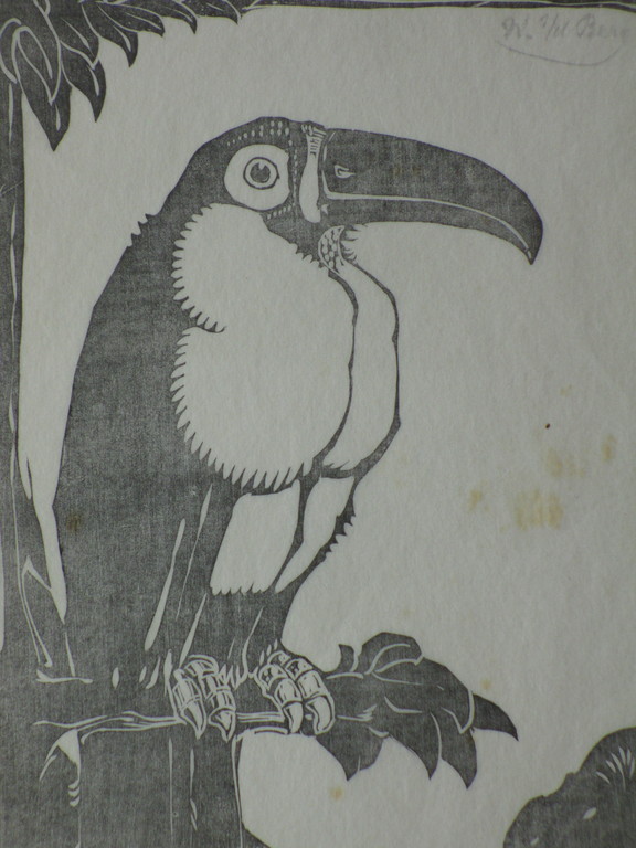 Willem van den Berg, Exotische vogel, Houtsnede kopen? Bied vanaf 1!