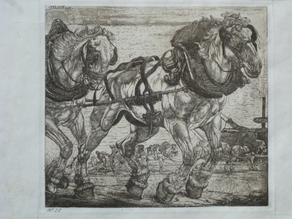 Pieter Dupont - ets - Seinepaarden kopen? Bied vanaf 80!