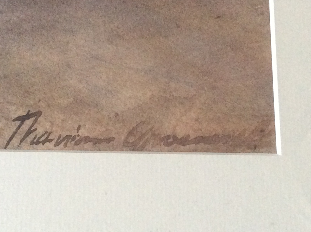 Aquarel 40 x 52 cm in lijst 52 x 64 cm sign.r.o. kopen? Bied vanaf 45!