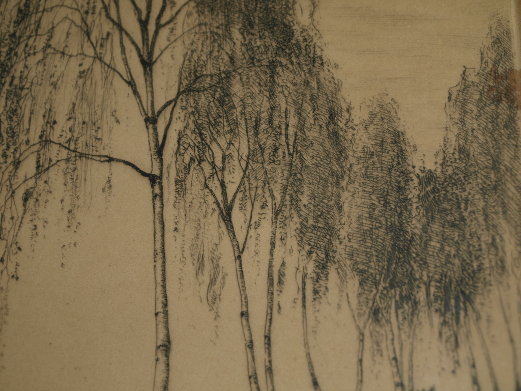 Onduidelijke signatuur: Ets – Landschap met bomen – Ingelijst - Oud kopen? Bied vanaf 40!
