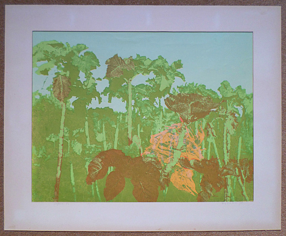 Baartmans - Bretagne, zeefdruk (in passe-partout) kopen? Bied vanaf 1!