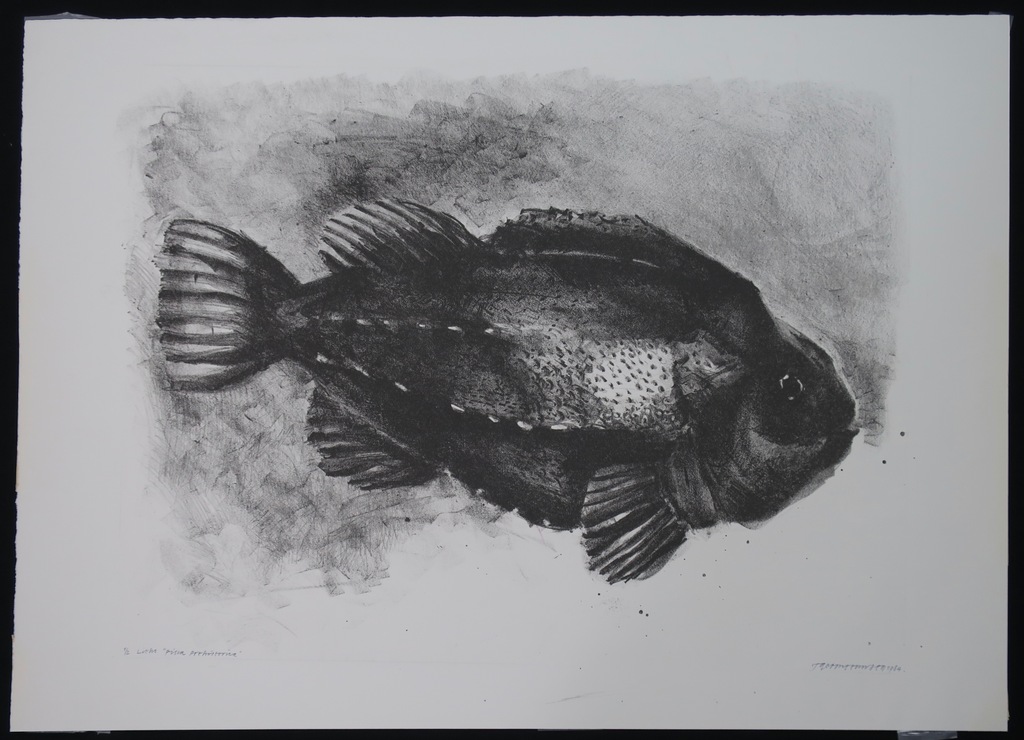 Taco Meeusen: Litho, Pisca Prehistorica  kopen? Bied vanaf 1!