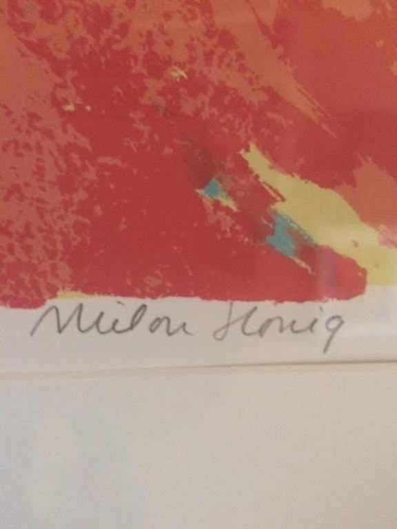 Milou Honig Zeefdruk  Titel - The Sky is the Limit - Ingelijst achter glas kopen? Bied vanaf 39!