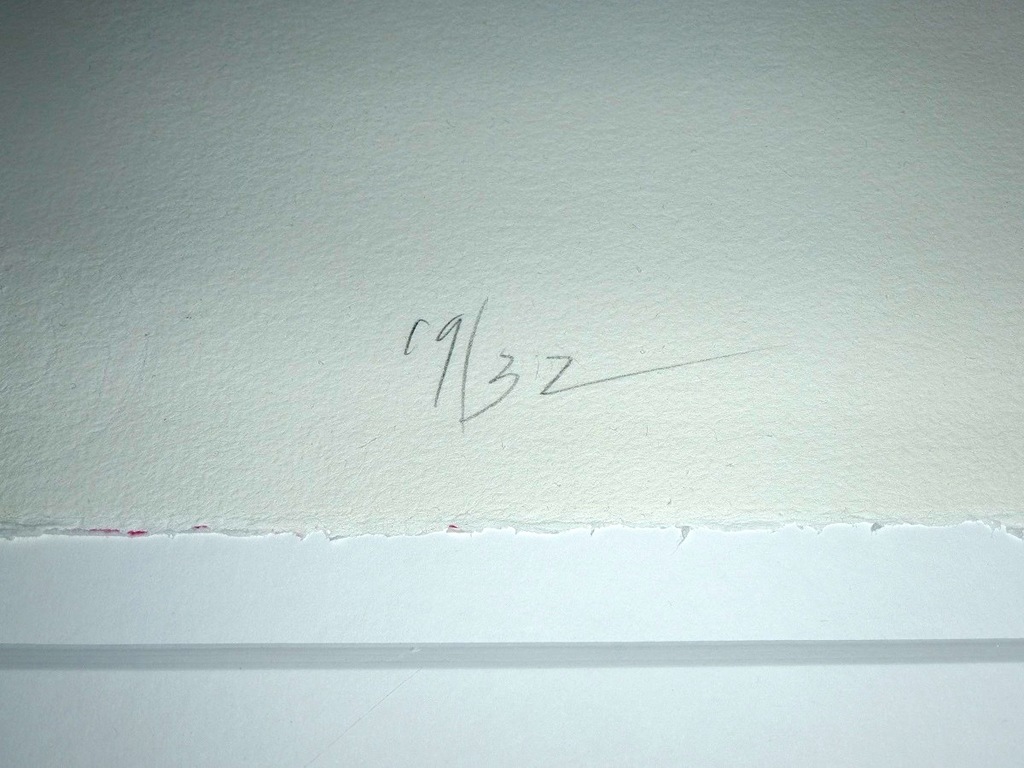 Ger Lataster, litho, handgesigneerd, oplage: 32 stuks, 1990 kopen? Bied vanaf 250!