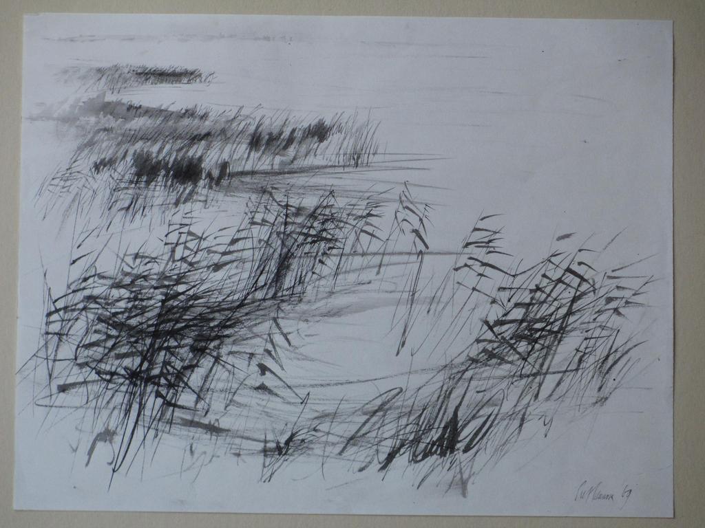 Piet Klaasse, Rietkragen, Tekening 1969 verkocht voor € 40!