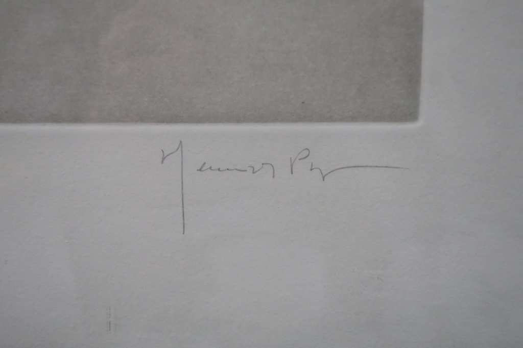 Juan Pijuan Hernandez: Droge Naald, Hojas - Ingelijst kopen? Bied vanaf 40!