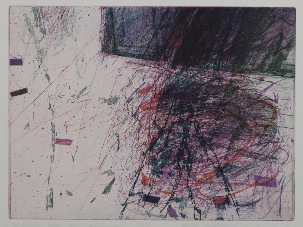 Hans Vredegoor: Ets, Uitzicht van een zwemmer verkocht voor € 45!