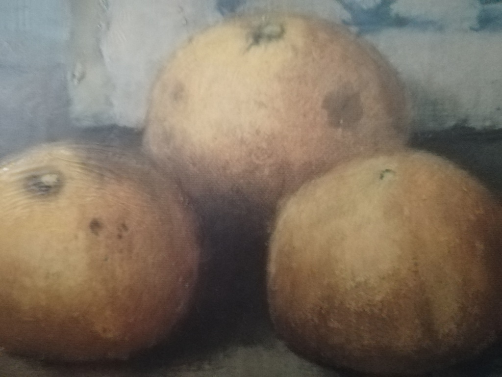 Henk Bos 1901 - 1979 - olieverf op paneel - stilleven met peren kopen? Bied vanaf 1!