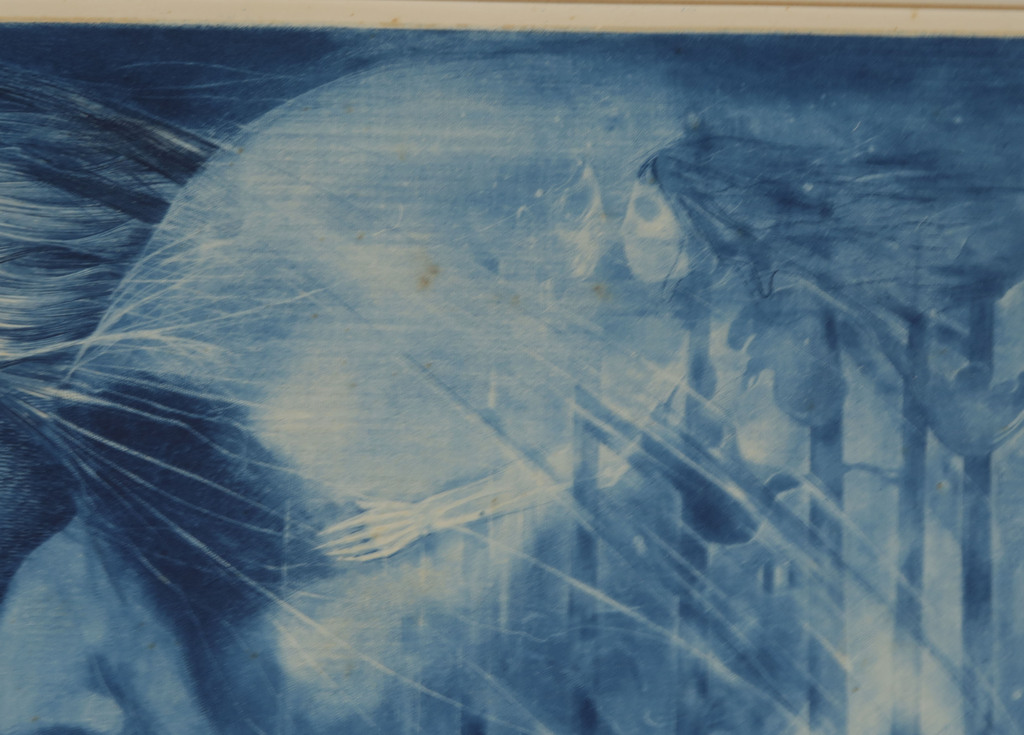 Onbekend gesigneerd: Gravure, Z.T. kopen? Bied vanaf 1!