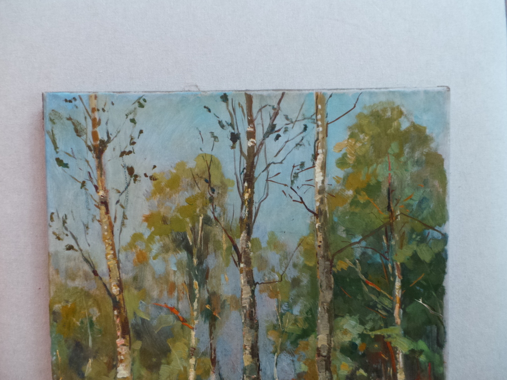 Jan Sirks  kopen? Bied vanaf 65!