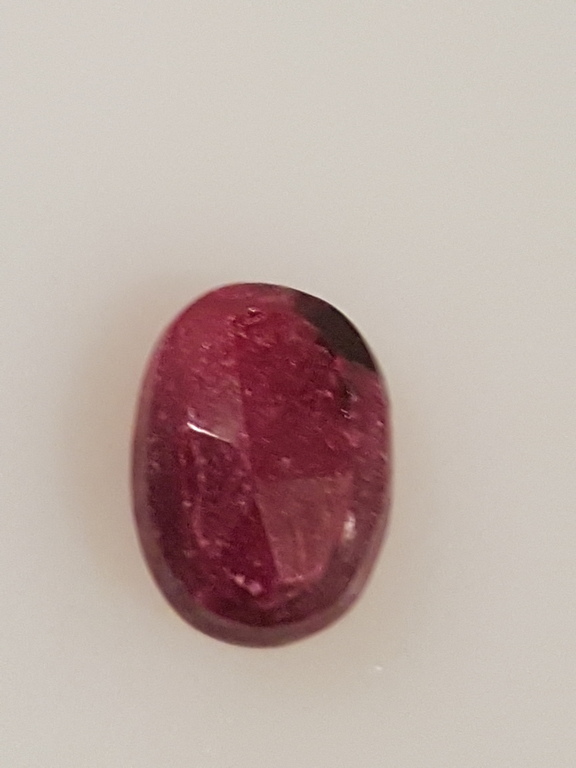 Duif bloed robijnen-lotto 01 kopen? Bied vanaf 1!