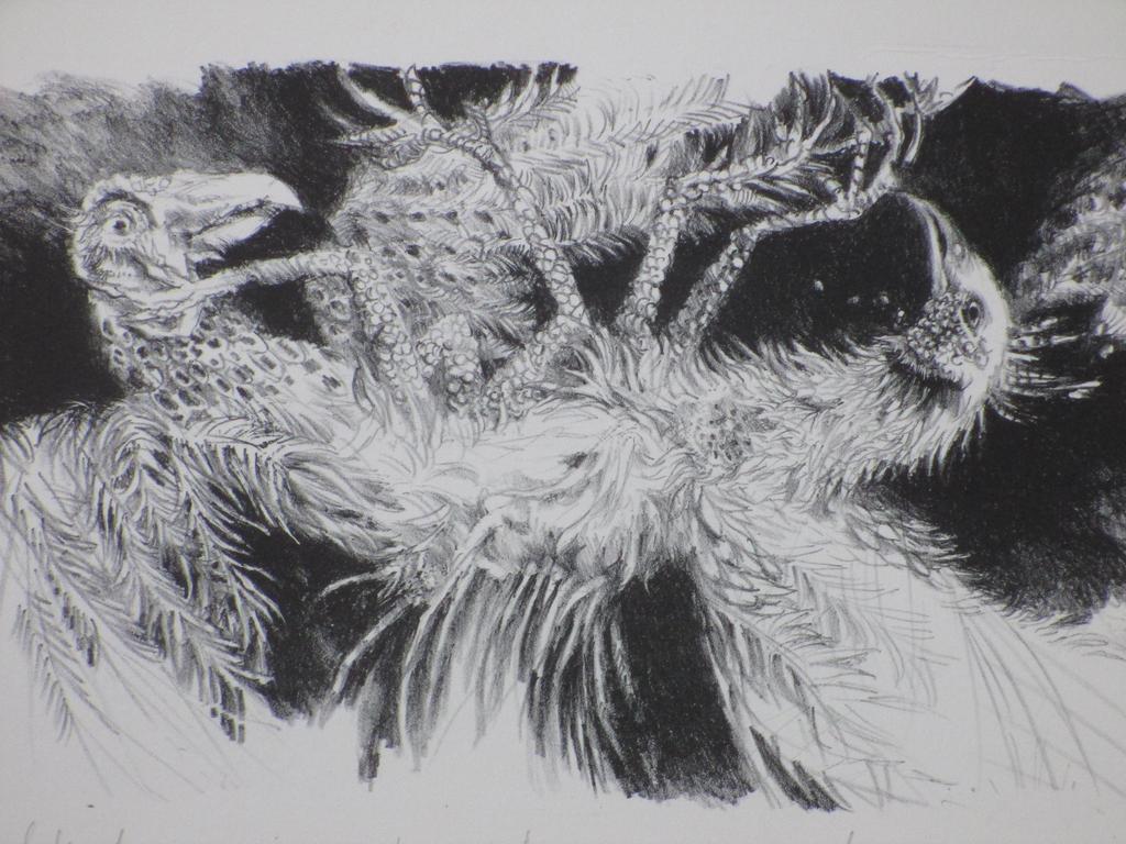 Jan Mensinga, Twee vreemde vogels, Litho kopen? Bied vanaf 45!