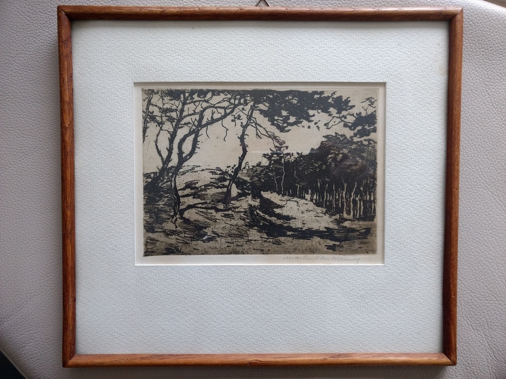 Martin van Waning: ets, Bosgezicht Schiermonnikoog verkocht voor € 60!