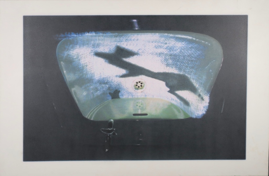 Nans Jetten: Zeefdruk op doek, Gewassen en geknipt 1 (Zeer groot) kopen? Bied vanaf 1!