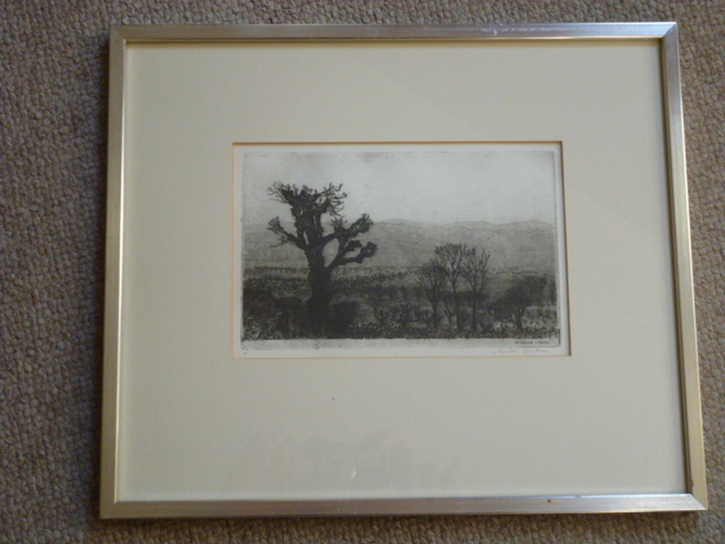 Charles Donker - ets - Geknotte zwarte moerbei kopen? Bied vanaf 125!