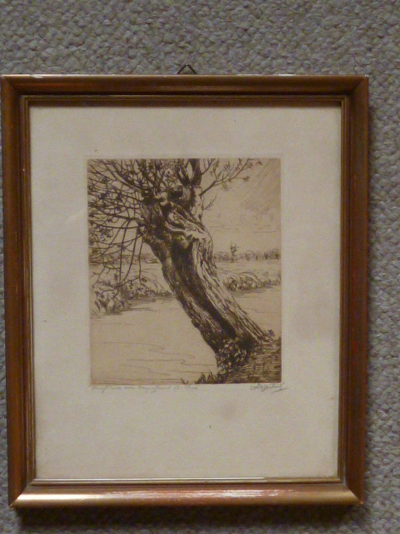 Dirk Harting - ets - Wilg kopen? Bied vanaf 25!