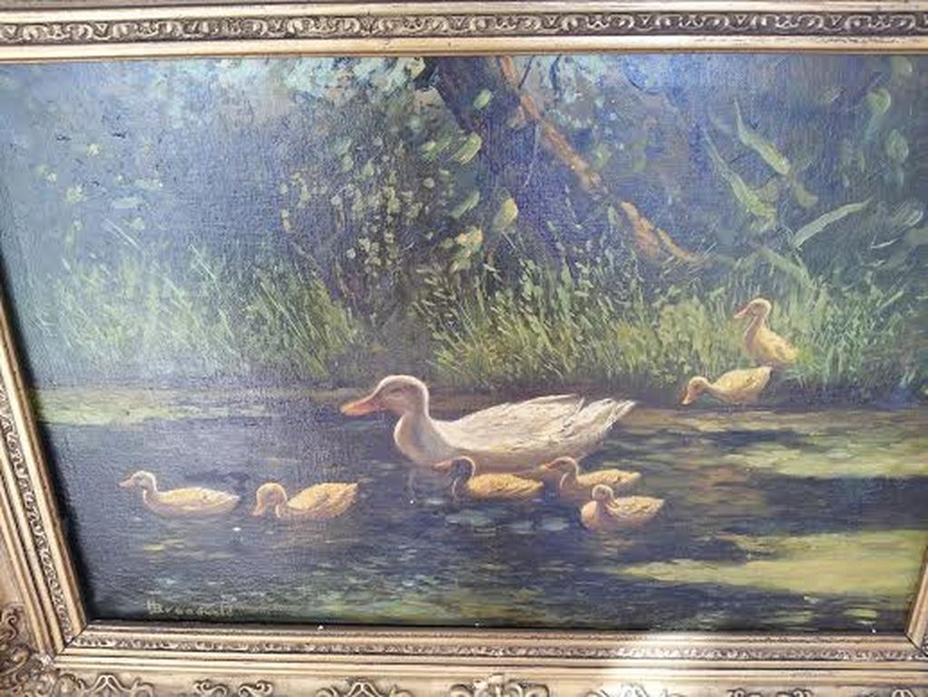 Eendenfamilie kopen? Bied vanaf 610!