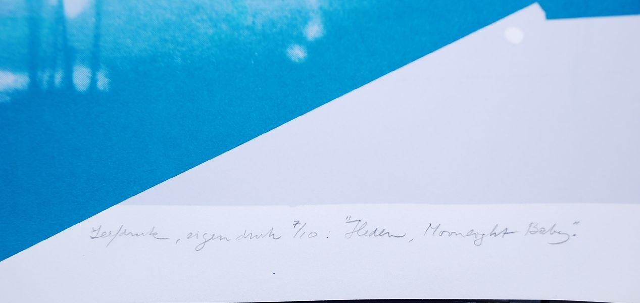 Klaas Gubbels/Walter Kerkhofs: Zeedruk Heden, Moonlight Baby kopen? Bied vanaf 100!