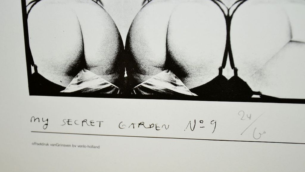 Shinkichi Tajiri: Offset Techniek My Secret Garden No. 9 kopen? Bied vanaf 1!